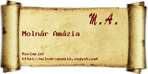 Molnár Amázia névjegykártya